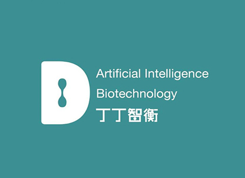 丁丁智衡