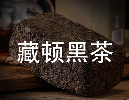 藏顿黑茶