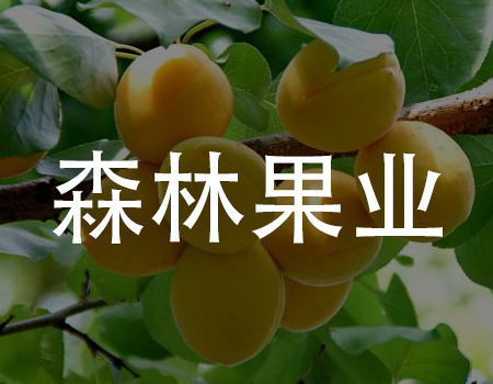 【到店小程序案例】菜鸟老板初试线上卖货，拼团半天揽350笔订单，营收7000+