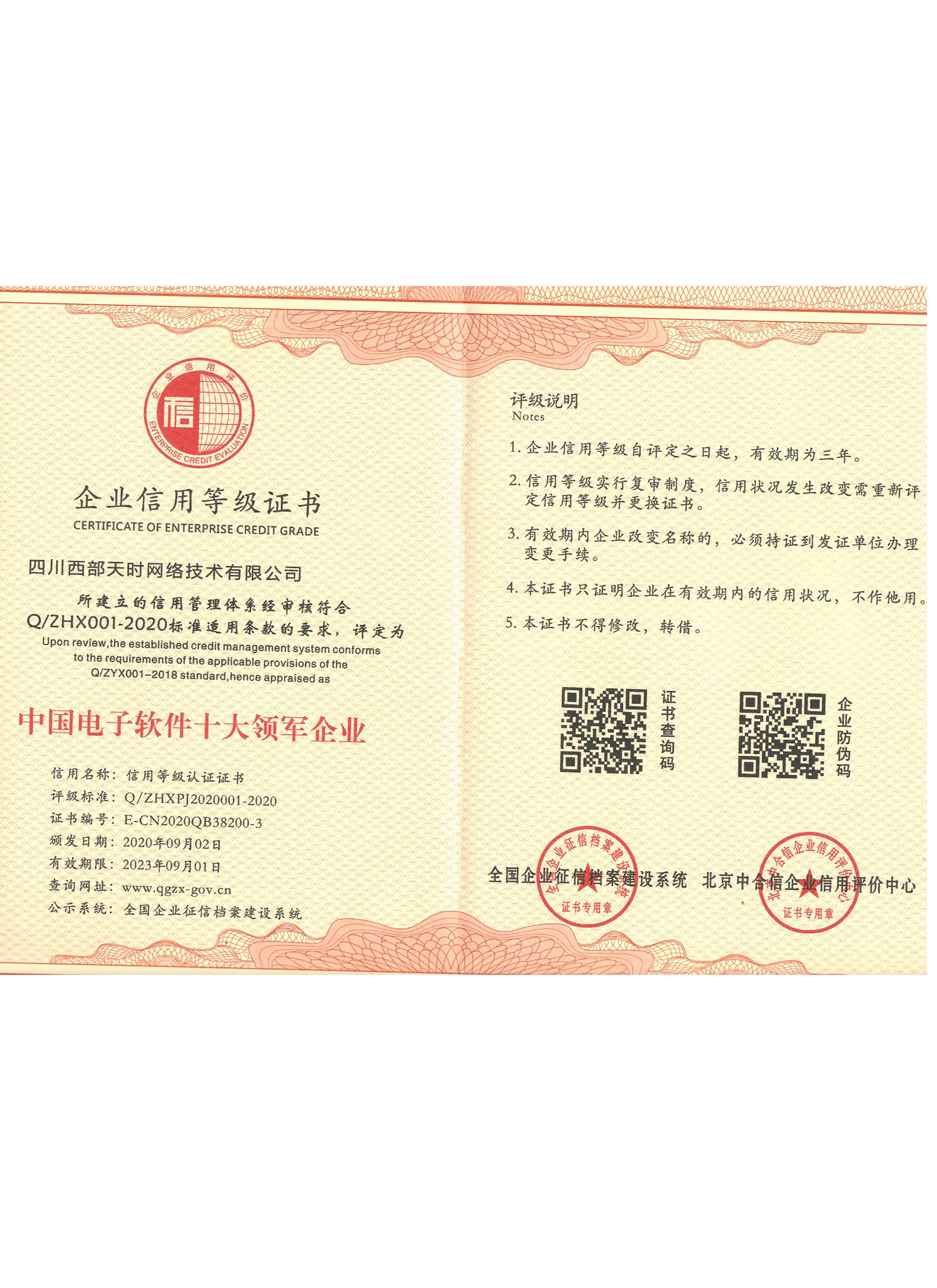 中国电子软件十大领军企业