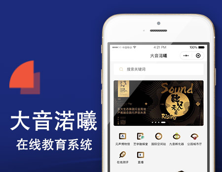 客户案例-大音渃曦定制开发