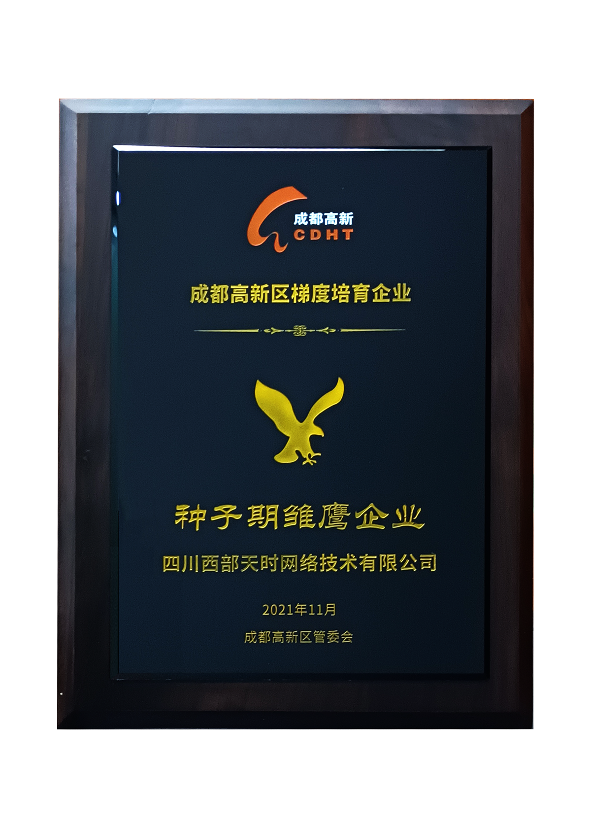 种子期雏鹰企业